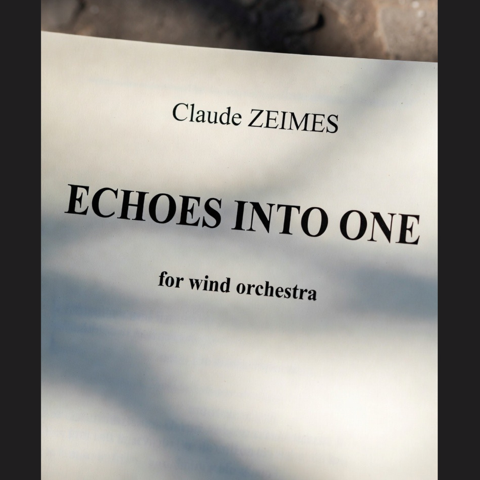 Echoes into one